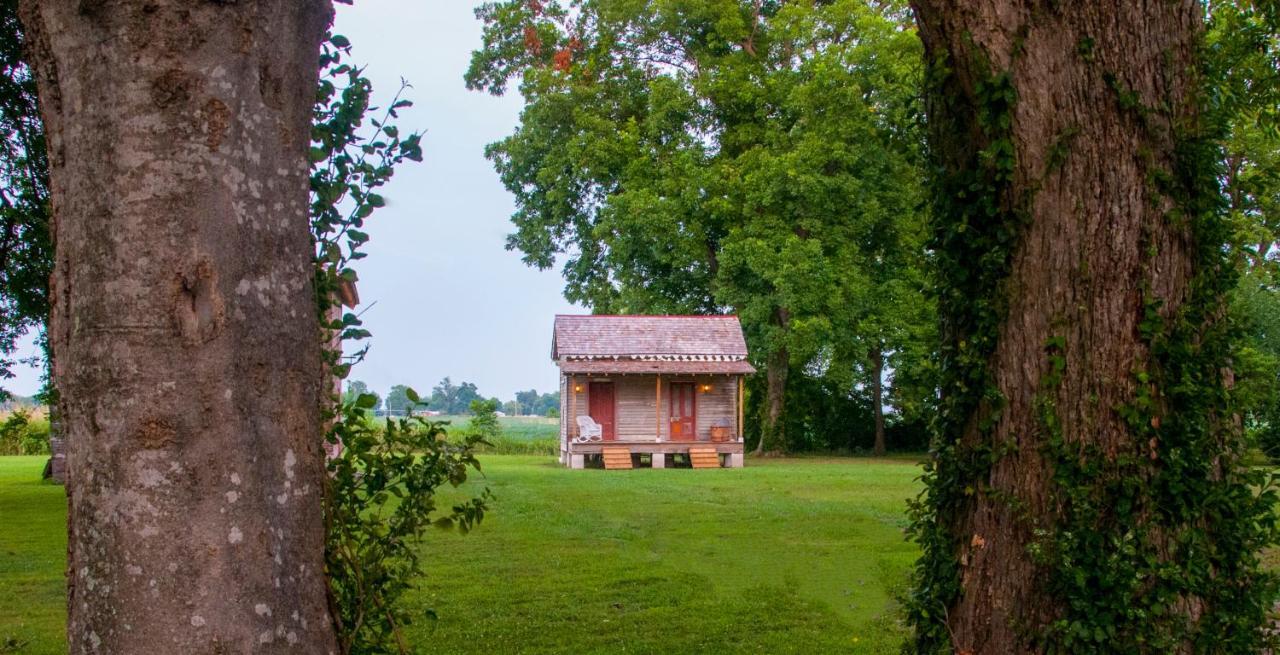 Belmont Plantation, Est 1857 Bed & Breakfast Greenville Dış mekan fotoğraf